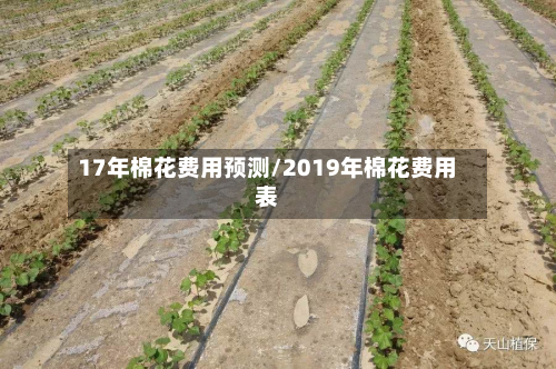 17年棉花费用预测/2019年棉花费用表