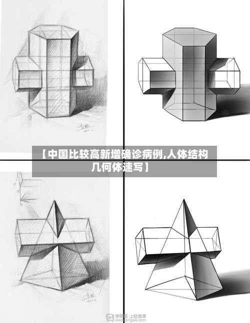 【中国比较高新增确诊病例,人体结构几何体速写】