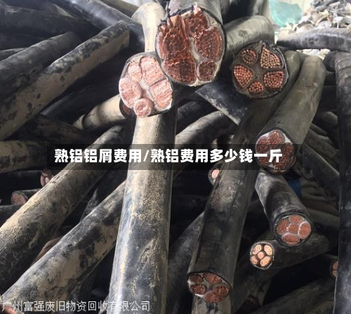 熟铝铝屑费用/熟铝费用多少钱一斤