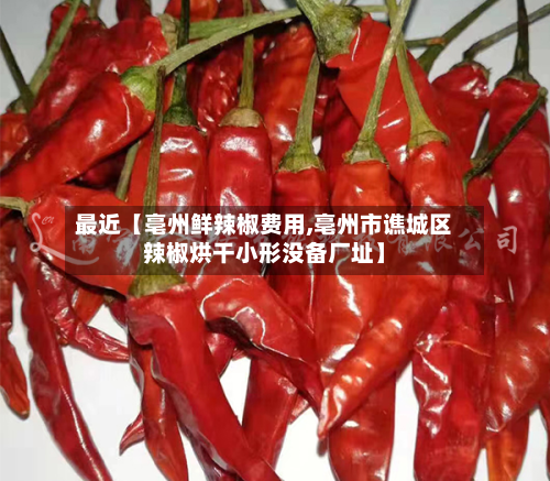 最近【亳州鲜辣椒费用,亳州市谯城区辣椒烘干小形没备厂址】