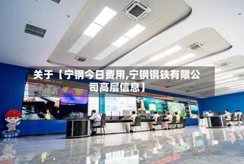 关于【宁钢今日费用,宁钢钢铁有限公司高层信息】