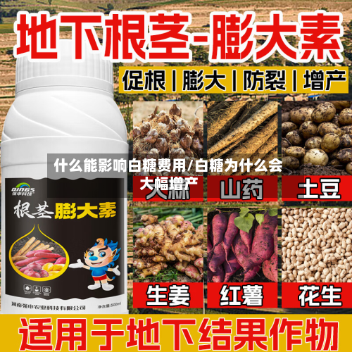 什么能影响白糖费用/白糖为什么会大幅增产