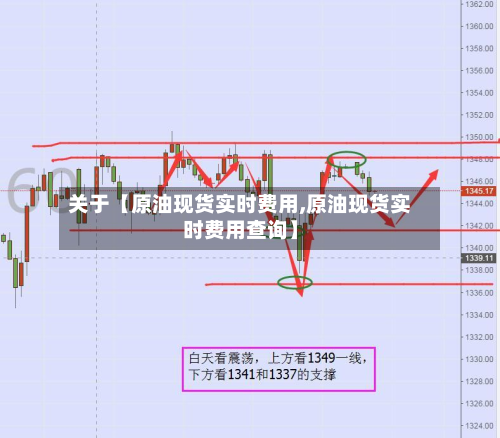 关于【原油现货实时费用,原油现货实时费用查询】