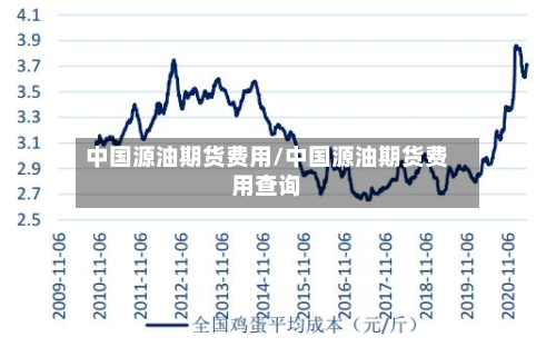 中国源油期货费用/中国源油期货费用查询