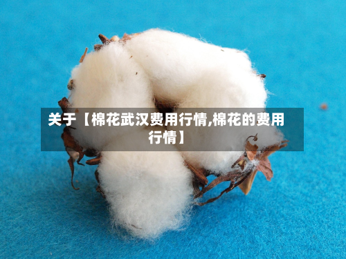 关于【棉花武汉费用行情,棉花的费用行情】