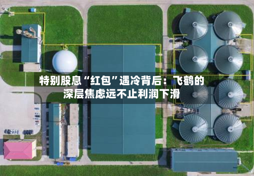 特别股息“红包”遇冷背后：飞鹤的深层焦虑远不止利润下滑