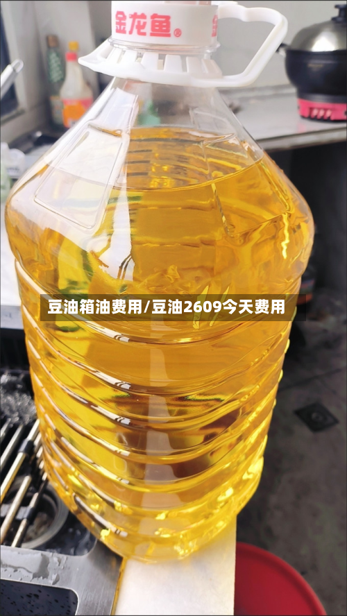 豆油箱油费用/豆油2609今天费用
