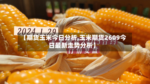 【期货玉米今日分析,玉米期货2609今日最新走势分析】