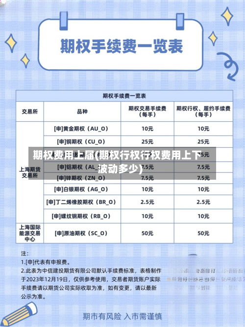 期权费用上届(期权行权行权费用上下波动多少)