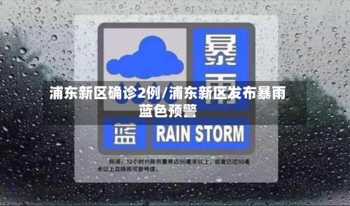浦东新区确诊2例/浦东新区发布暴雨蓝色预警