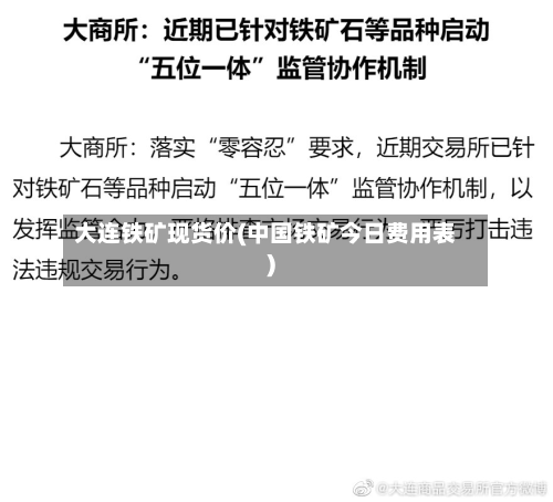 大连铁矿现货价(中国铁矿今日费用表)