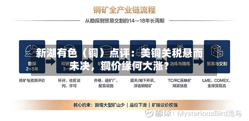 新湖有色（铜）点评：美铜关税悬而未决	，铜价缘何大涨？-第1张图片