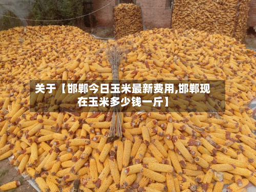 关于【邯郸今日玉米最新费用,邯郸现在玉米多少钱一斤】